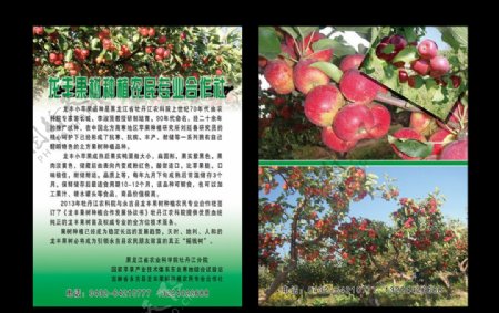 果树宣传单图片