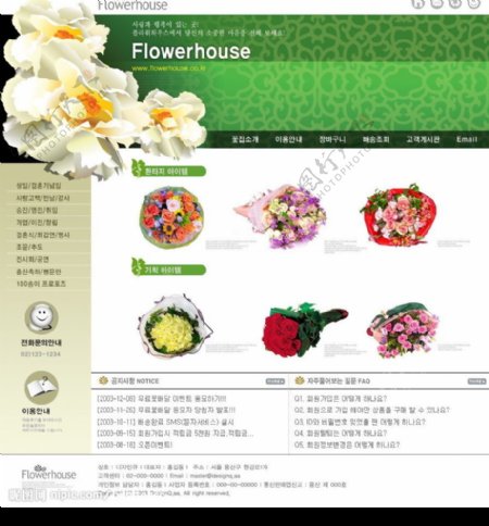 韩国鲜花图片