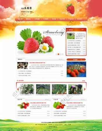 红色喜庆草莓采摘网页模板图片