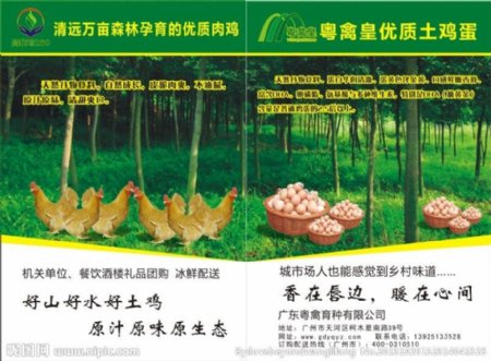 绿色食品宣传画图片