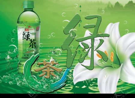 绿茶百合图片