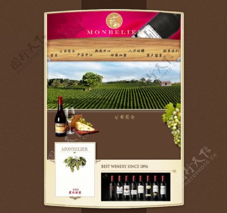 葡萄酒模板图片
