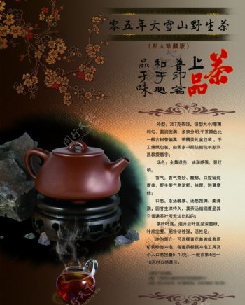 野生茶文化推广图片