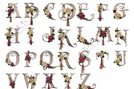 玫瑰流苏英文字母图片