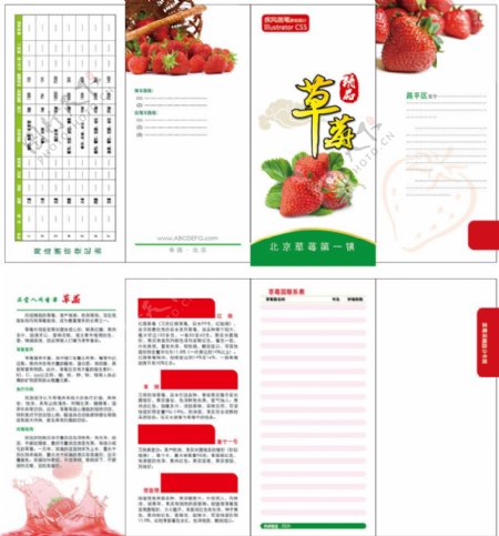 草莓宣传折页模板可编辑图片