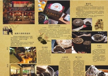 茶道社宣传折页背面图片