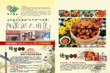阳澄湖大闸蟹杂志广告图片