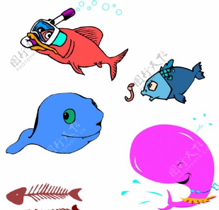 卡通鱼类大全图片