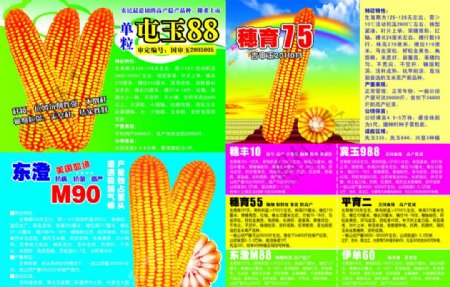 玉米种子报纸宣传图片