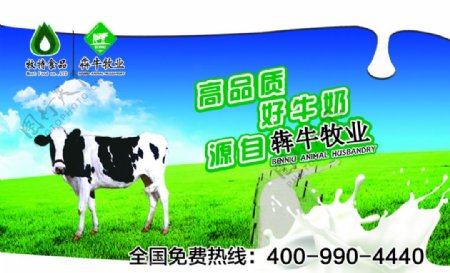 犇牛乳业会员卡图片