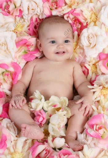 躺在鲜花堆里的可爱婴儿图片