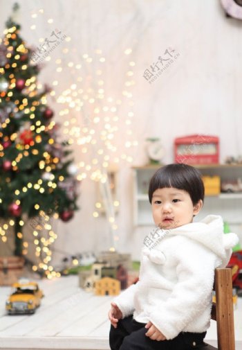 小女孩和圣诞树图片