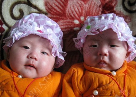 双胞胎宝贝图片