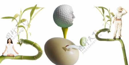 超现实鸡蛋发芽竹子人物高尔夫球图片