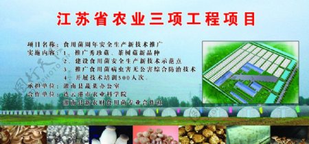 江苏省农业三项工程项目图片