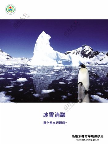 冰山企鹅图片