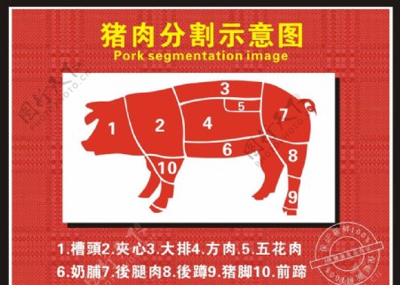 猪肉分割图位图素材图片