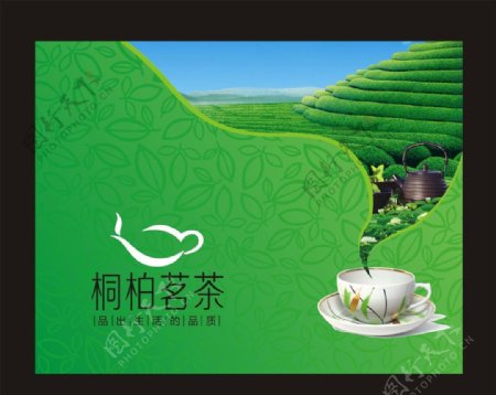 绿茶包装展开图海报图片