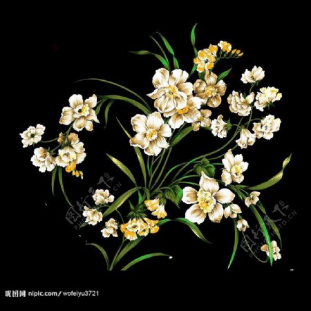 花卉装饰纹样图片