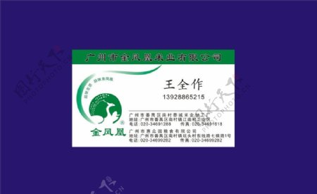 凤凰米名片绿色卡片图片