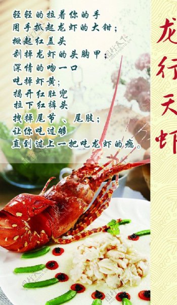 龙虾优惠卡图片