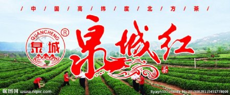 泉城绿茶标志图片