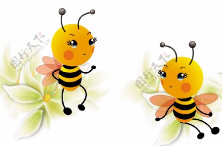 两只蜜蜂图片