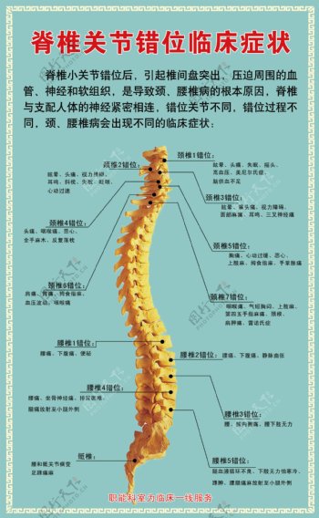 脊椎关节错位临床症状图片