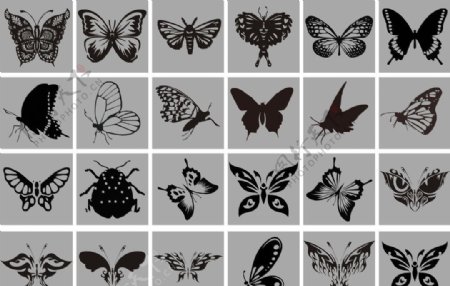 蝴蝶矢量图图片