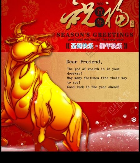 2009新年金牛贺卡图片