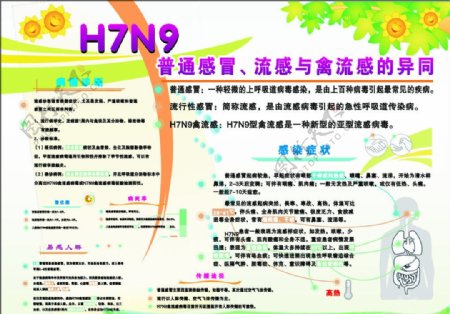 H7N9宣传窗图片
