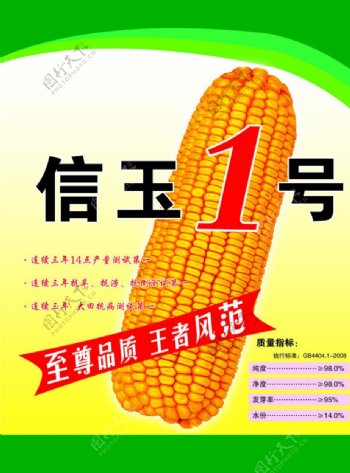 玉米种子宣传图片