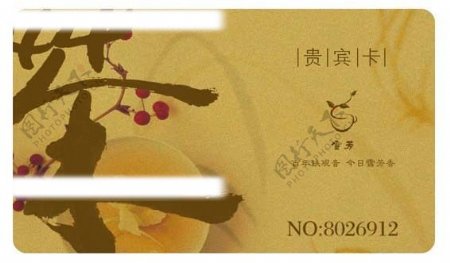 茶vip卡源文件图片