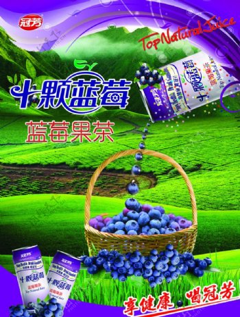 蓝莓饮料宣传图片