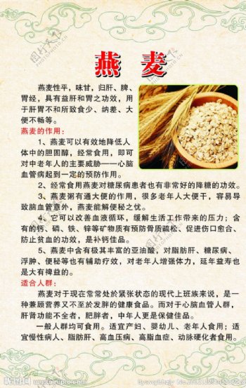 燕麦的食疗作用图片