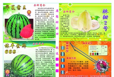 西瓜水果宣传图片