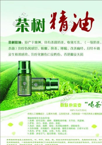 茶树精油护肤品宣传海报图片