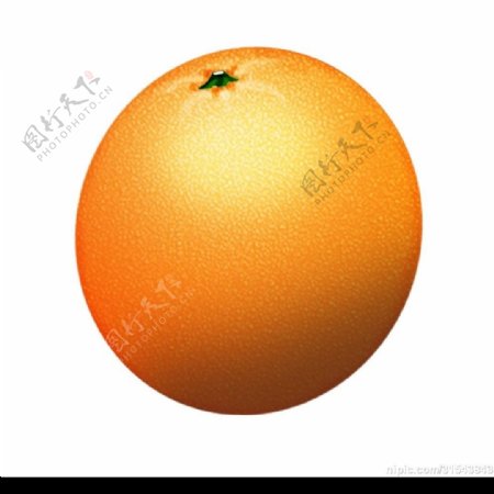 橙子完整版图片
