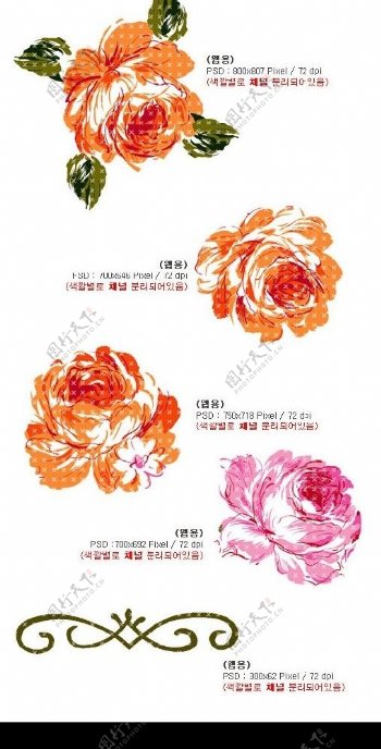 韩国时尚花纹图片