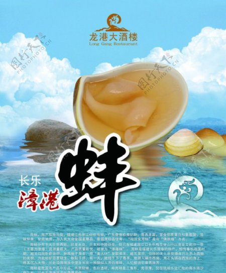 漳港蚌图片