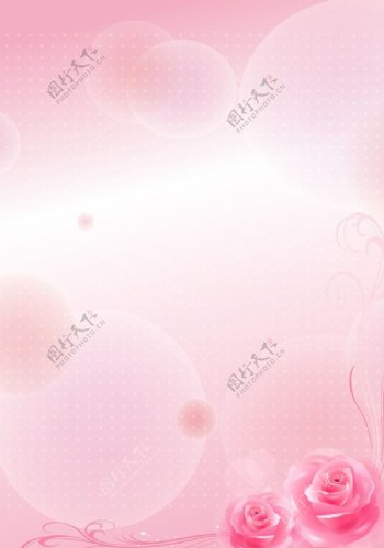 粉色玫瑰信纸图片