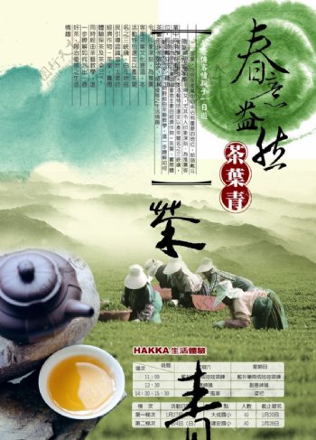 採茶生活体验活动海报图片