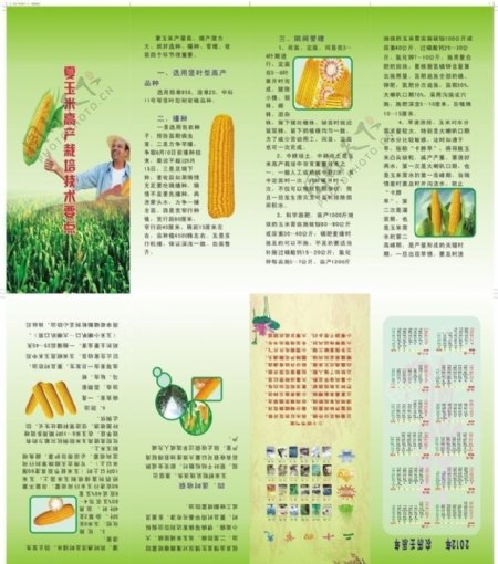 玉米四折页联版图片