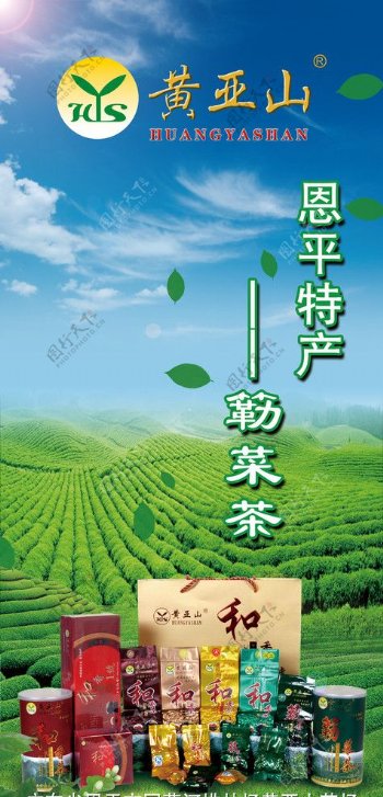 恩平特产簕菜茶图片