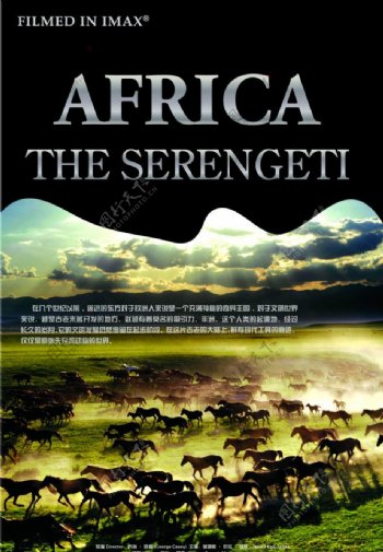 非洲大草原电影海报设计图片