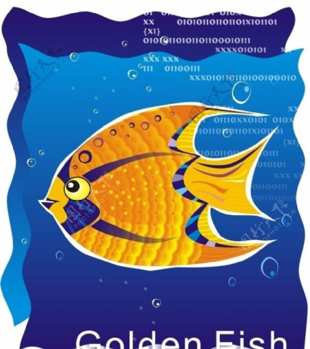 海报金鱼图片