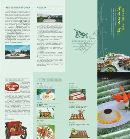 竹笋菜肴四折页图片
