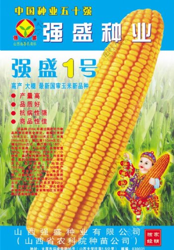 玉米海报展板图片
