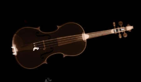 小提琴的X光透视图片