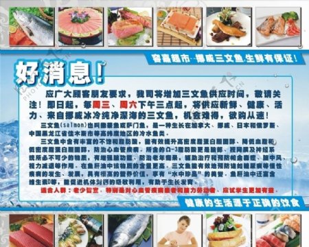 三文鱼广告图片